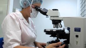 Астраханский госуниверситет создаст отдельный комплекс для ветеринаров